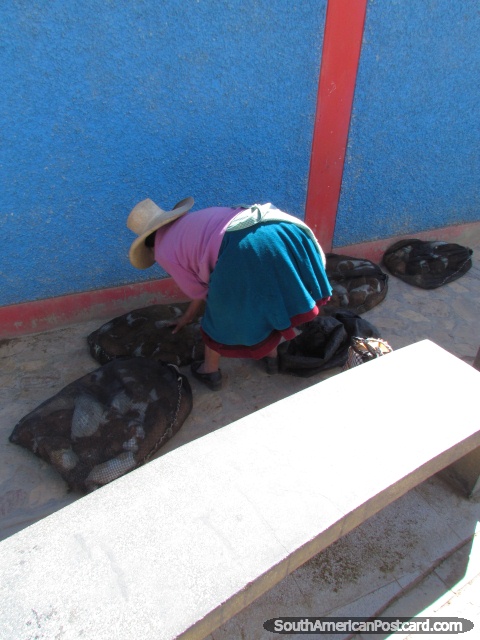 Mulher com bolsas de porcos de Guiné em pavimento em Cajabamba. (480x640px). Peru, América do Sul.
