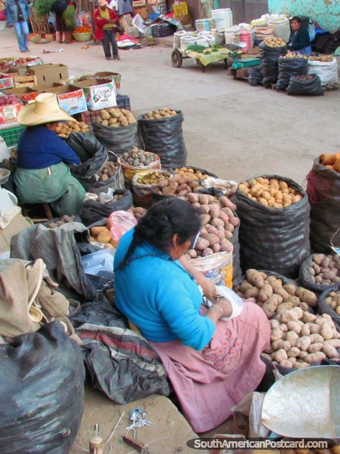 Las mujeres venden tipos diferentes de patatas en mercados en Cajabamba. (480x640px). Per, Sudamerica.