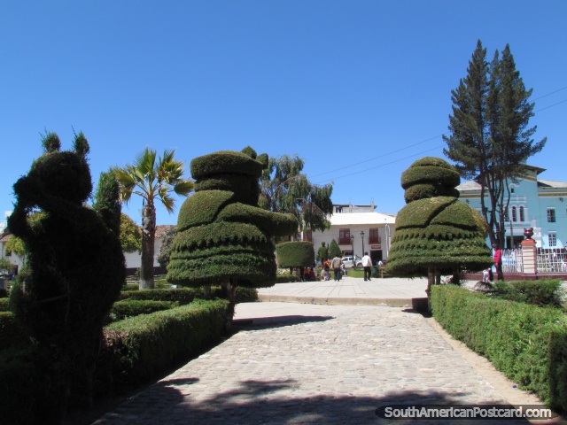 Cobblestone walkway and tree-figures, Huamachuco plaza. (640x480px). Peru, South America.