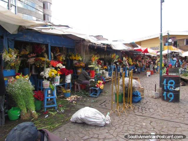 Flower markets in Huancayo. (640x480px). Peru, South America.
