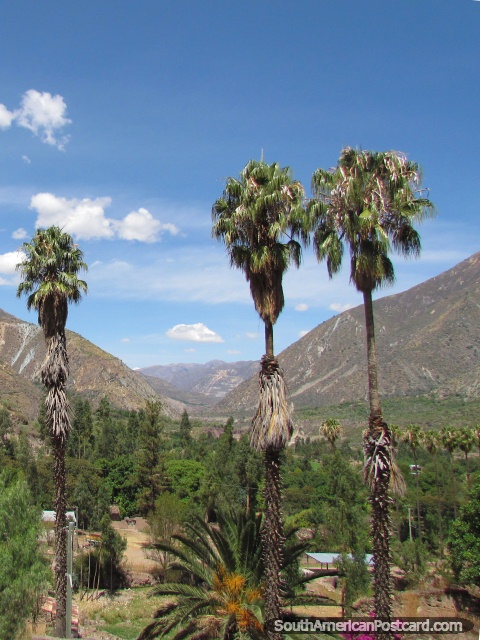 El valle tropical cerca de Esmeralda. (480x640px). Perú, Sudamerica.
