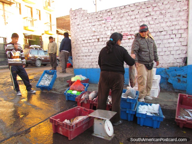 Peixe fresco à venda na rua Ayacucho ao amanhecer. (640x480px). Peru, América do Sul.