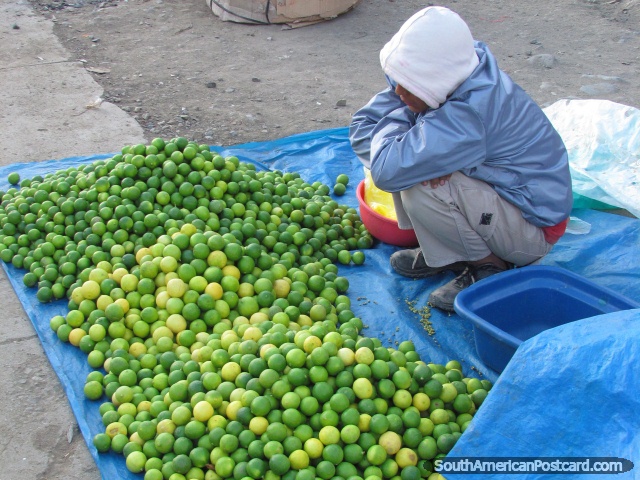 Mountains of fresh green limes on sale at Andahuaylas markets. (640x480px). Peru, South America.