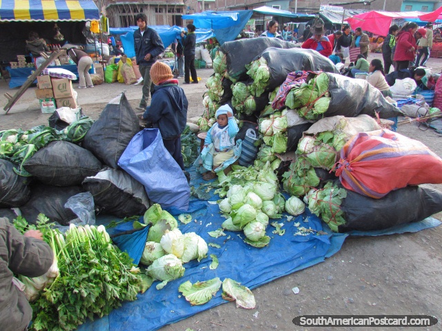 Sacks and sacks of fresh lettuces brought to sell at Andahuaylas markets. (640x480px). Peru, South America.