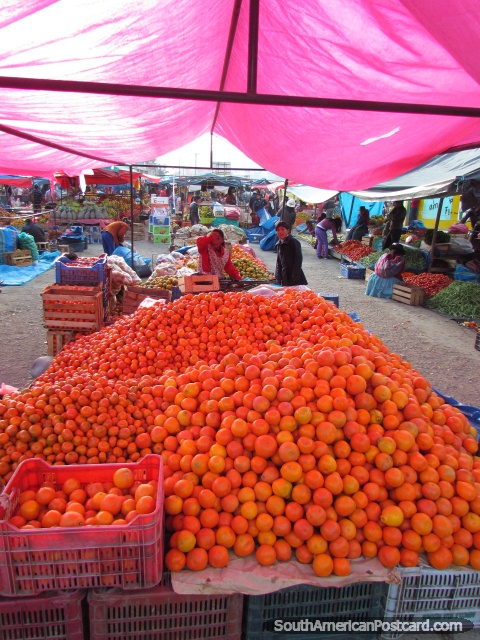 Uma montanha de laranjas trazidas a mercados em Andahuaylas. (480x640px). Peru, Amrica do Sul.