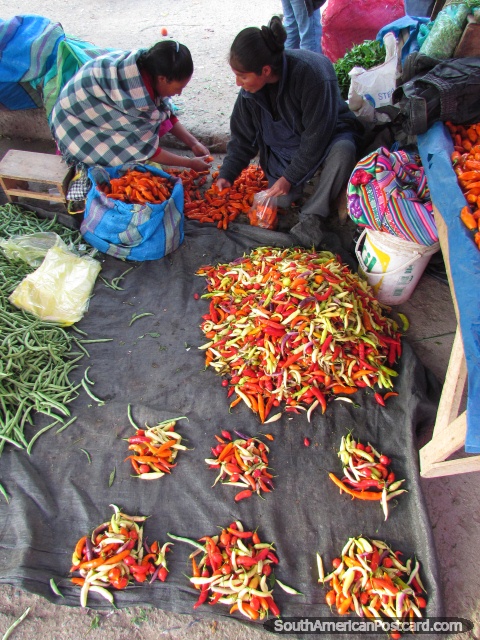 Colorful chillies in small piles at the Andahuaylas markets. (480x640px). Peru, South America.
