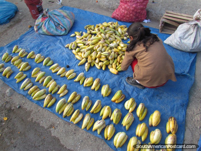 Exotic fruit in piles of 3 at the Andahuaylas markets. (640x480px). Peru, South America.