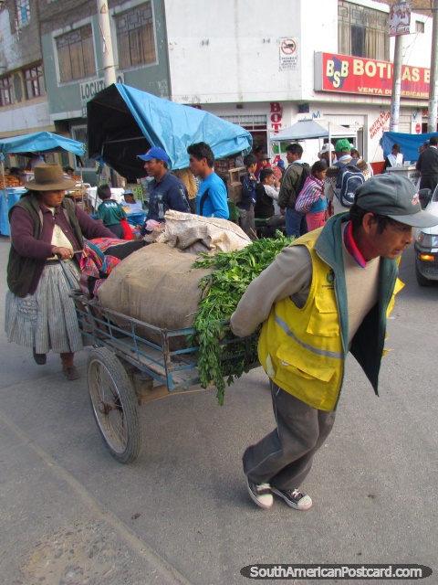 Una rueda de hombre y mujer cartful de hierbas frescas a mercado en Andahuaylas. (480x640px). Per, Sudamerica.