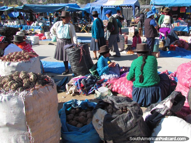 Las mujeres traen sacos de patatas para venderse en mercados de Andahuaylas. (640x480px). Per, Sudamerica.