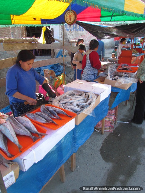 El pescado fresco se para en mercados en Andahuaylas. (480x640px). Per, Sudamerica.