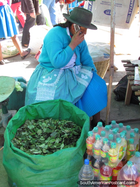 A coca parte para a venda nos mercados em Andahuaylas. (480x640px). Peru, América do Sul.