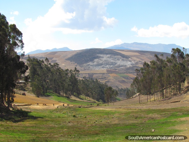 Olhar abaixo em um vale entre Andahuaylas e Abancay. (640x480px). Peru, América do Sul.