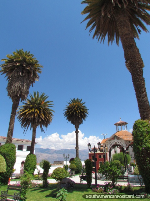 Jardins e palmeiras no Praça de Armas em Abancay. (480x640px). Peru, América do Sul.