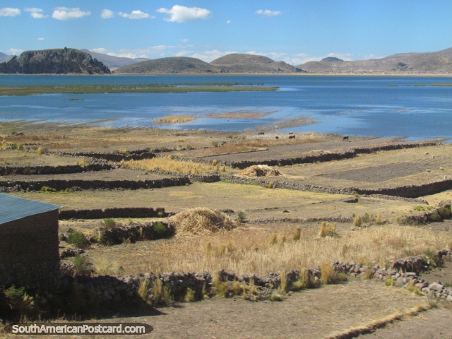 Belas visões do Lago Titicaca ao norte/oeste de Desaguadero. (640x480px). Peru, América do Sul.