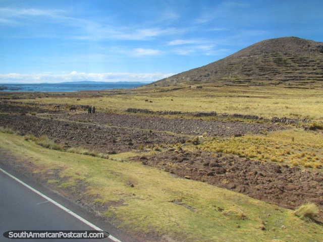 Vistas de colinas y el lago al norte/oeste de Desaguadero. (640x480px). Per, Sudamerica.