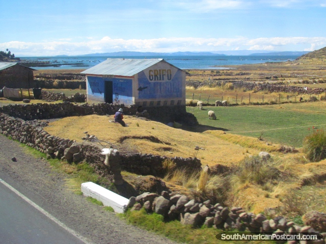 Uma pequena fazenda e abrigo azul perto do Lago Titicaca. (640x480px). Peru, América do Sul.
