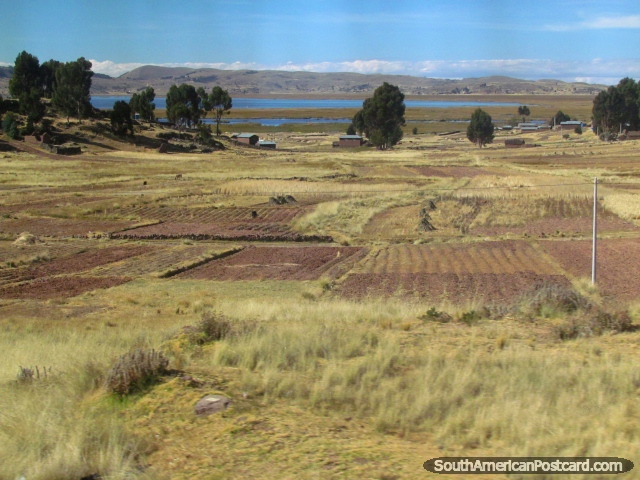 Farms and crop fields around Lake Titicaca near Huisahuinica. (640x480px). Peru, South America.