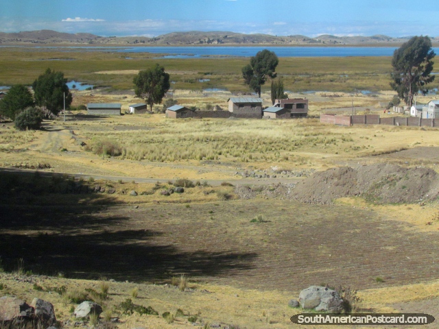 Casas perto das áreas alagadas e lago, ao leste de Puno. (640x480px). Peru, América do Sul.