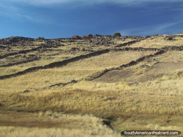 Casas de la roca por una cima al oeste de Puno. (640x480px). Per, Sudamerica.