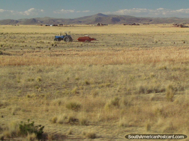 Trator azul com trailer vermelho entre Paucarcolla e Juliaca. (640x480px). Peru, América do Sul.