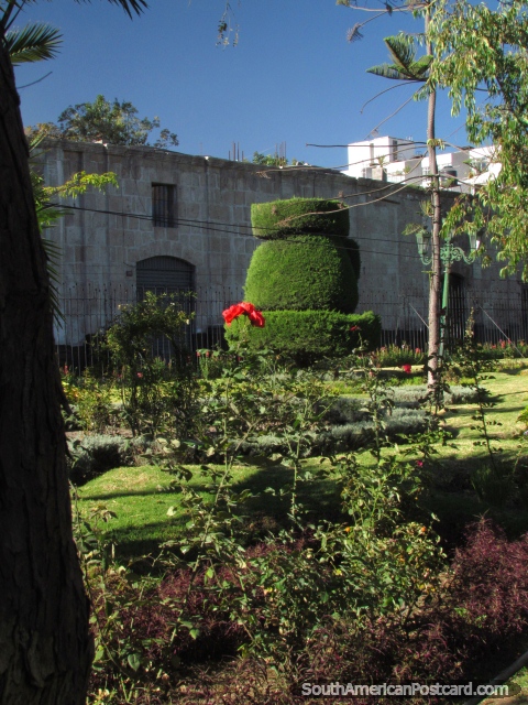 Duhamel Park in Arequipa, garden and sculptured tree. (480x640px). Peru, South America.