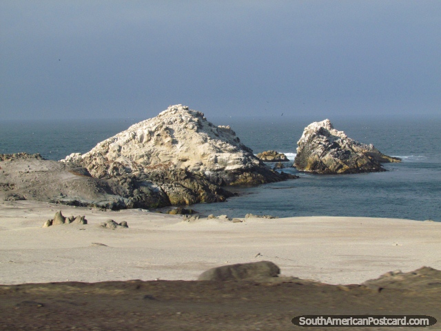 Islas y vida de aves en la costa al norte de Camana. (640x480px). Perú, Sudamerica.