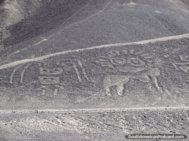 Um par de figuras representa-se em Palpa Geoglyphs perto de Nazca. (640x480px). Peru, América do Sul.