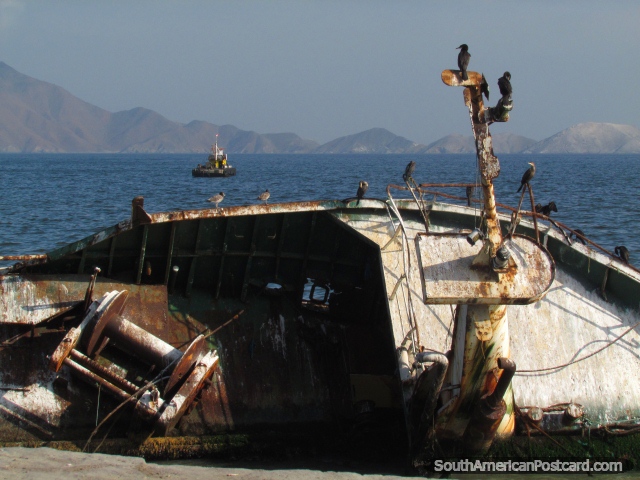 Birds sit on the shipwreck on the waterfront in Chimbote. (640x480px). Peru, South America.