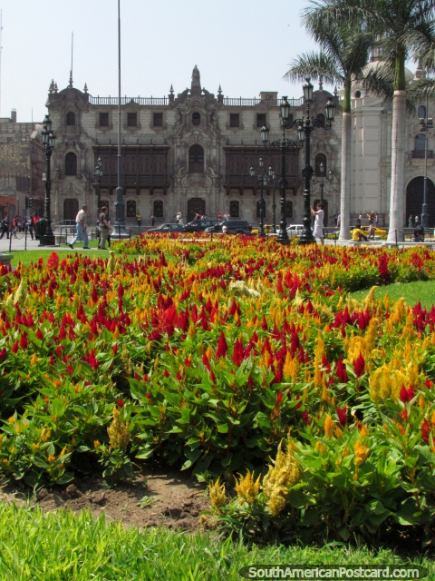 Palácio de Arzobispal atrás de um canteiro de flores coloridas em Lima central. (480x640px). Peru, América do Sul.
