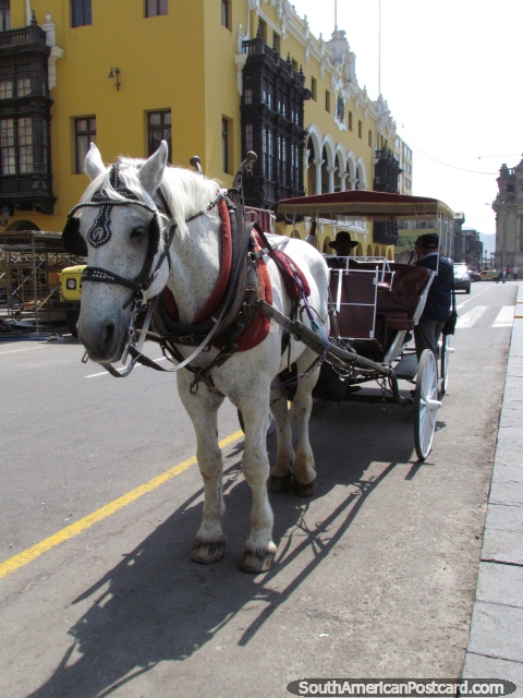 Um cavalo e a carruagem esperam por passageiros ao lado da praça pública principal em Lima. (480x640px). Peru, América do Sul.