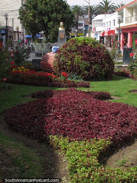 Jardins e flores no momento de Vigïlia Pasaje em Tacna. (480x640px). Peru, América do Sul.