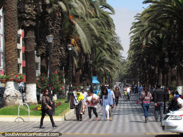 La gente de Tacna que va sobre all negocio en el centro de ciudad. (640x480px). Per, Sudamerica.