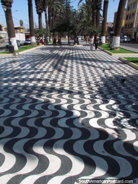 O passeio em Tacna é muito longo e tem faixas cheias de curvas pretas e brancas. (480x640px). Peru, América do Sul.