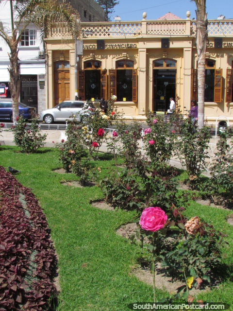 Um edifïcio histórico através do caminho de Tacna praça, um rosa aumentou nos jardins. (480x640px). Peru, América do Sul.