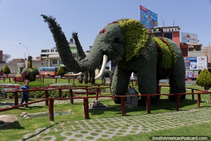 An elephant and a giraffe made of plants in Tacna. (720x480px). Peru, South America.