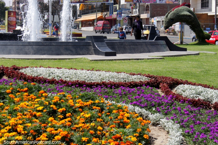 Flores, uma fonte e um delfim feito de grama e fábricas em Tacna. (720x480px). Peru, América do Sul.