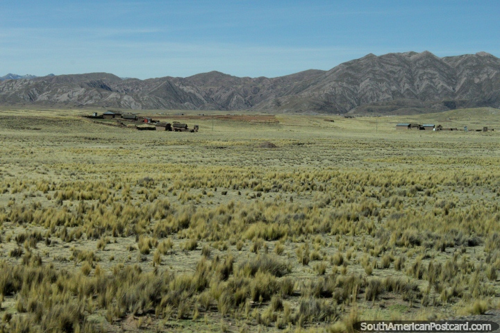 A viagem de 6 horas de Tacna a Desaguadero passa pastos e colinas rochosas. (720x480px). Peru, América do Sul.