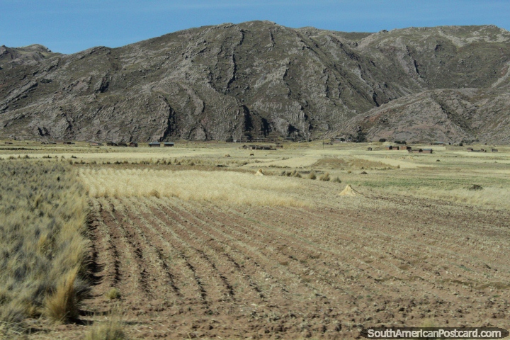 Pastos y casas en la distancia por debajo de colinas rocosas, al oeste de Desaguadero. (720x480px). Per, Sudamerica.