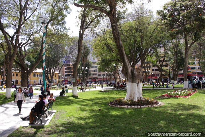 Muitas árvores na praça pública central em Huanuco, um lugar bonito de descansar. (720x480px). Peru, América do Sul.