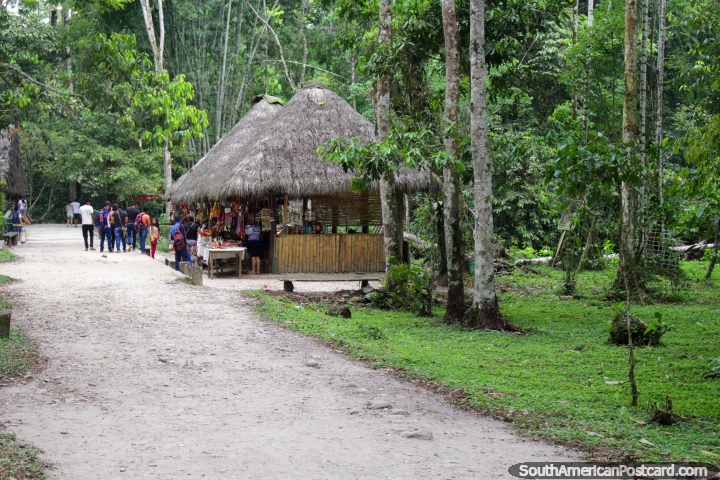 Caminho na selva verde em parque nacional Tingo Maria. (720x480px). Peru, América do Sul.