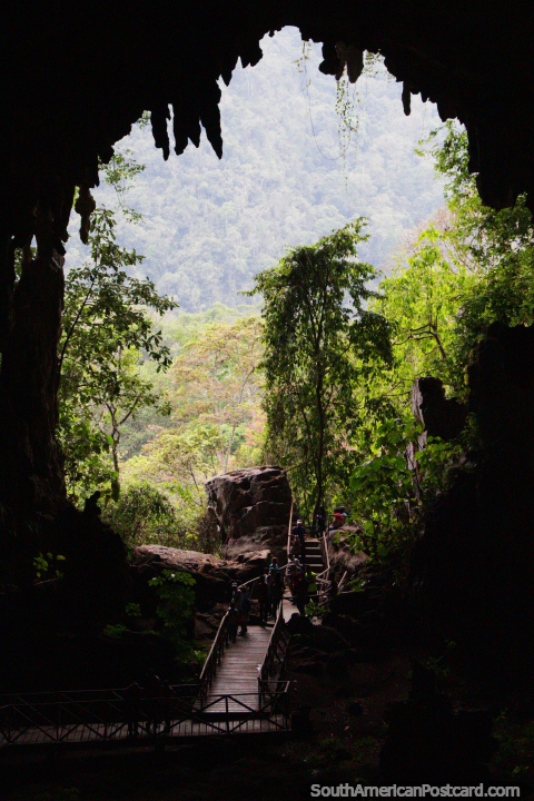 Darkness to greenness, the Cave of the Owls at Tingo Maria National Park. (480x720px). Peru, South America.