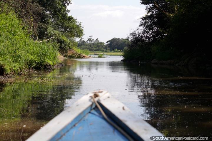 Leaving a secluded inlet and back out to the lake, Lake Yarinacocha, Pucallpa. (720x480px). Peru, South America.