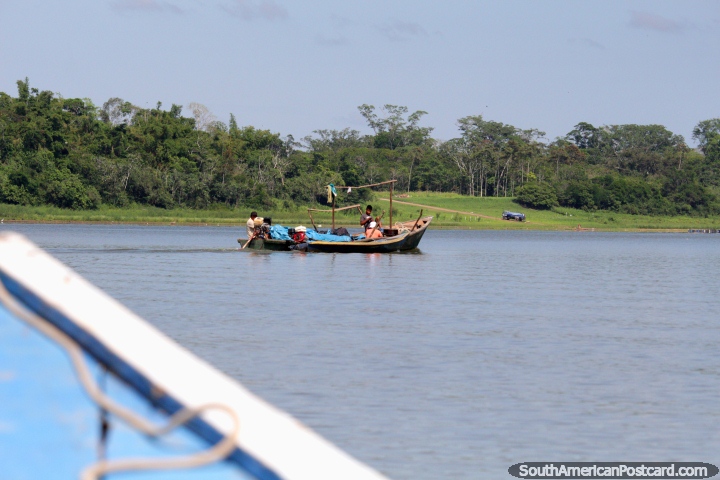Enjoying being on the lake in Pucallpa, looking for birds and wildlife! (720x480px). Peru, South America.