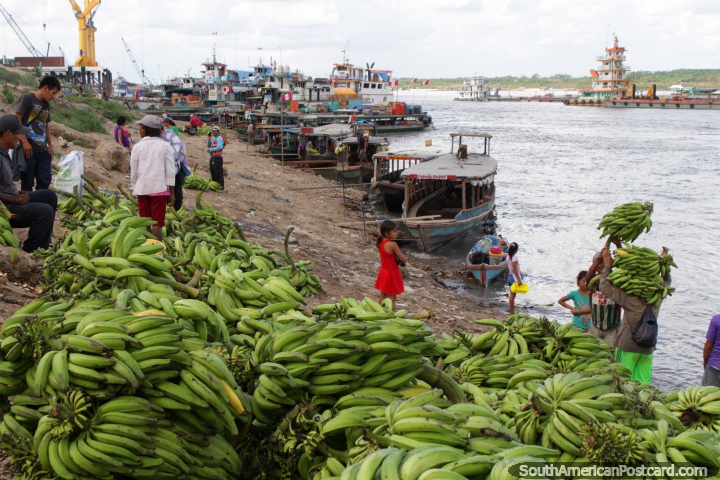 As bananas so o grande negcio em Pucallpa, chegam de distante e largo. (720x480px). Peru, Amrica do Sul.