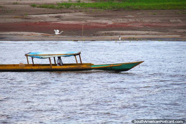 A cegonha branca faz correr um barco fluvial ao longo do Rio Ucayali em Pucallpa. (720x480px). Peru, Amrica do Sul.