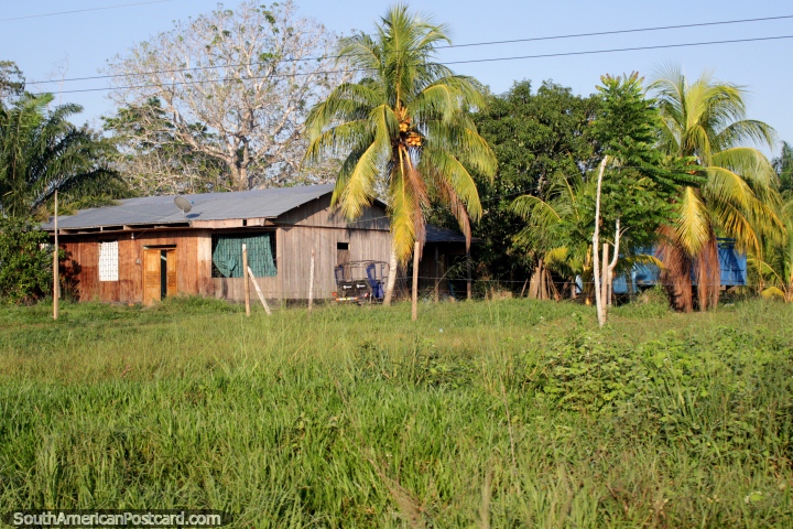 Casa de madera con un techo de hojalata rodeado de rboles y cocos, el camino desde Pucallpa a Tingo Mara. (720x480px). Per, Sudamerica.