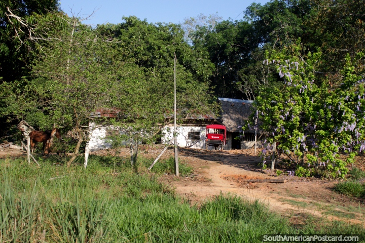 Casa escondida detrás de verdor en el Amazonas, entre Pucallpa y Tingo María. (720x480px). Perú, Sudamerica.