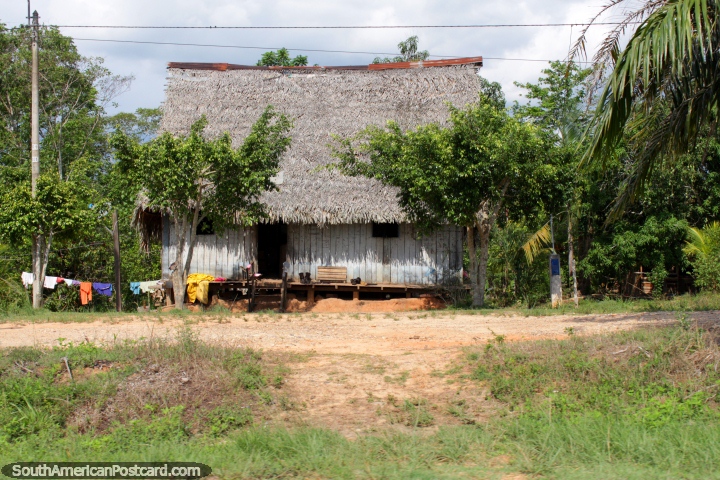 Wooden house with thatched roof, washing dries outside, Amazon, between Pucallpa and Tingo Maria. (720x480px). Peru, South America.
