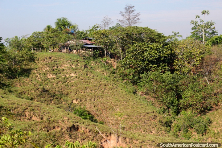 Casa de madeira com telhado de estanho escondido na colina perto do caminho em volta de Aguaytia. (720x480px). Peru, Amrica do Sul.