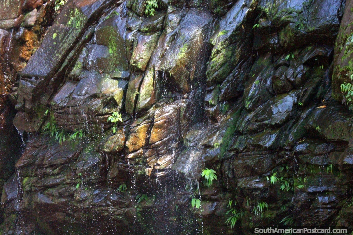 Las rocas hmedas de Ducha del Diablo, una cascada en Boquern del Padre Abad cerca de Aguaytia. (720x480px). Per, Sudamerica.